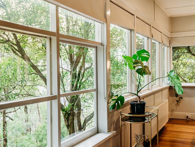 Photo 12 for Luxury Treetop Escape - perfect winter escape with a glasshouse!