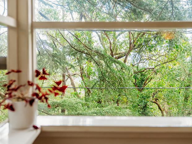 Photo 20 for Luxury Treetop Escape - perfect winter escape with a glasshouse!