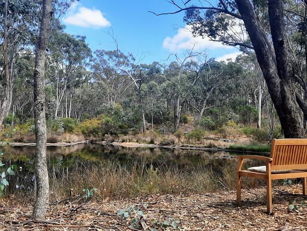 Photo 17 for Muckleford Forest Cottage - Quiet bush stay with dam, pizza oven & wood fire