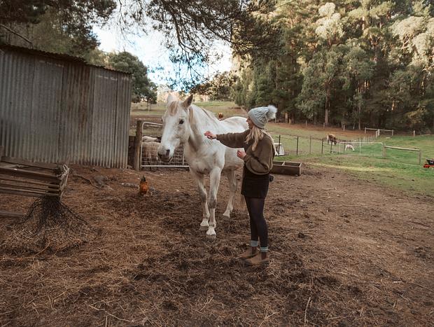 Photo 8 for Wood Cabin Farm Stay
