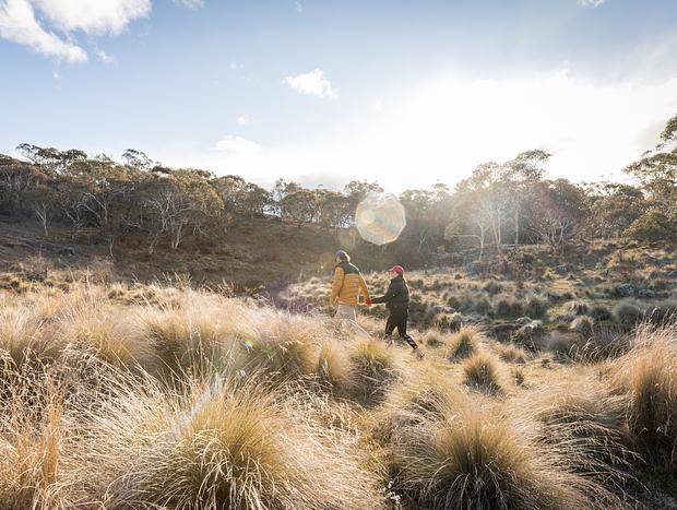 Photo 11 for Snowy Mountains Tiny Home