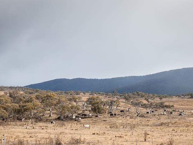 Photo 35 for Snowy Mountains Tiny Home