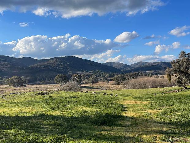Photo 12 for “Greenmore Hut” country escape in the hills near Mudgee!