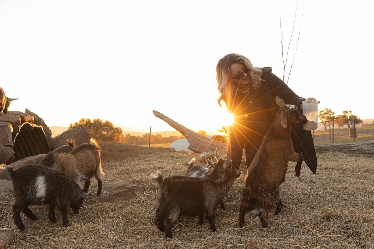Feeding The Pygmy Goats Riparide