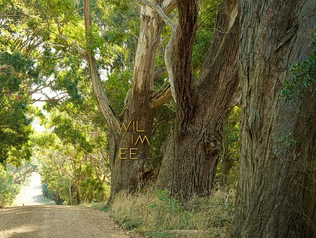 Photo 8 for Macedon Ranges Vineyard Cottage
