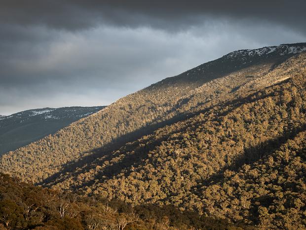 Photo 31 for Snowy Mountains Luxury Cabin Retreat