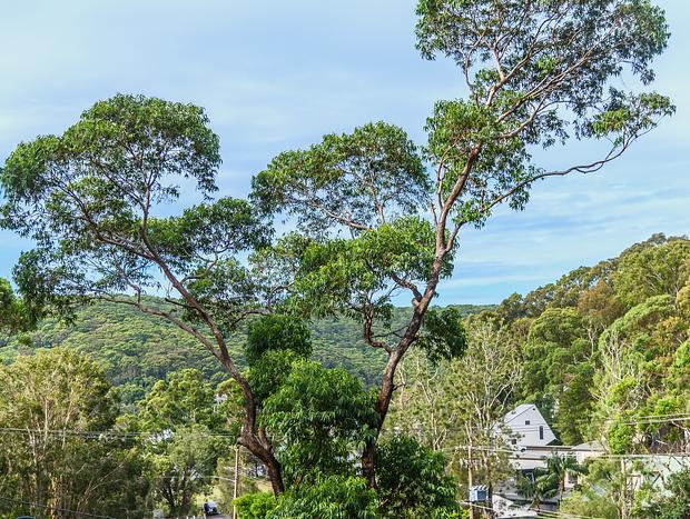 Photo 22 for 'Treetops on the Bay' by HolidayCo.