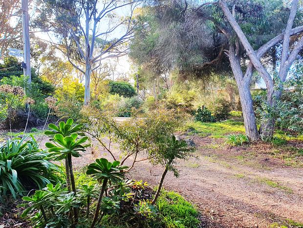 Photo 30 for Merricks Beach hidden retreat - family & pet friendly