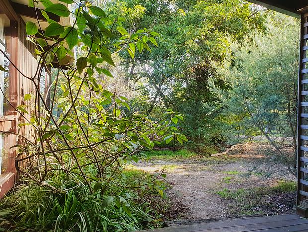 Photo 25 for Merricks Beach hidden retreat - family & pet friendly