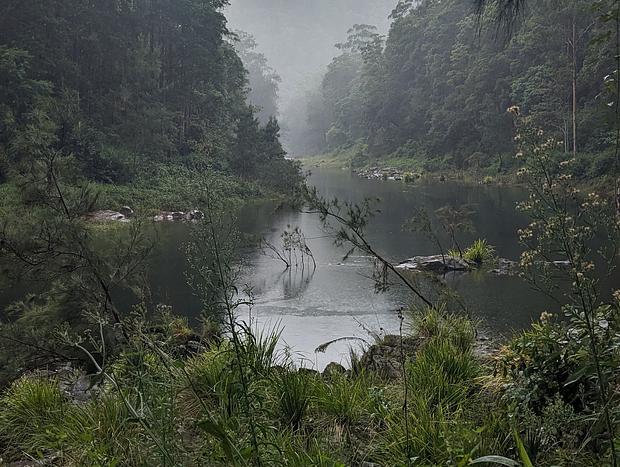 Photo 15 for The Barn, Bellingen