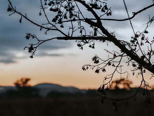 Photo 39 for A Luxury, Dog Friendly Farmstay Between Two Worlds: Mudgee & Rylstone