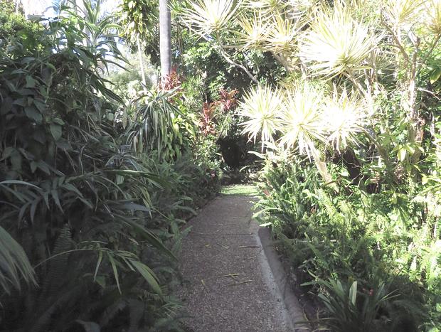 Photo 17 for Seaside Tropical Getaway