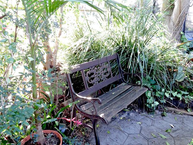 Photo 18 for Seaside Tropical Getaway