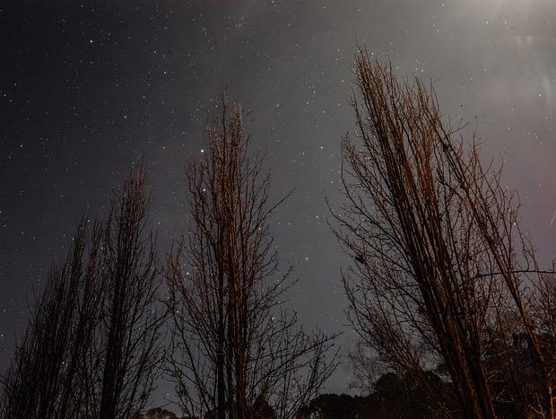 Photo 20 for The Sensational Snowgum Spa Chalet