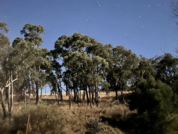 Photo 19 for Meadowbrook Tiny House - stay amongst the best of Orange wineries and nature