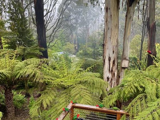 Photo 22 for Timber Top Lodge - unwind in a forest retreat