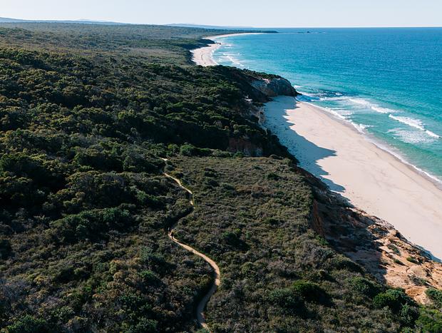 Photo 4 for The Pinnacles Loop Walking Track