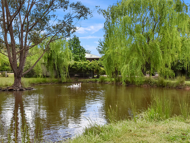 Photo 31 for The Wollombi Pavilion