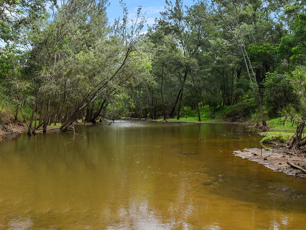 Photo 34 for The Wollombi Pavilion
