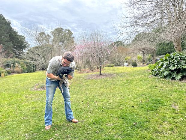 Photo 31 for Forest bathing at The Vale