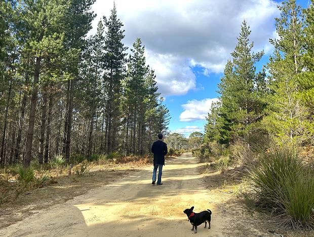 Photo 42 for Forest bathing at The Vale