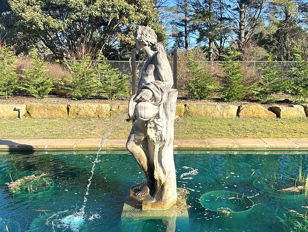 Photo 9 for The Vale gardens