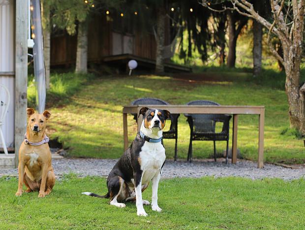 Photo 9 for Hideaway Cabin by the River