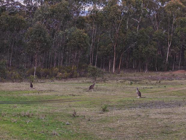 Photo 6 for Wandering the Native Land