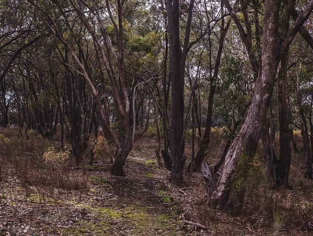 Photo 9 for Wandering the Native Land