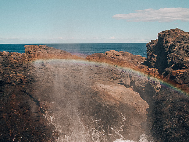 Photo 2 for Visit Kiama Blowhole