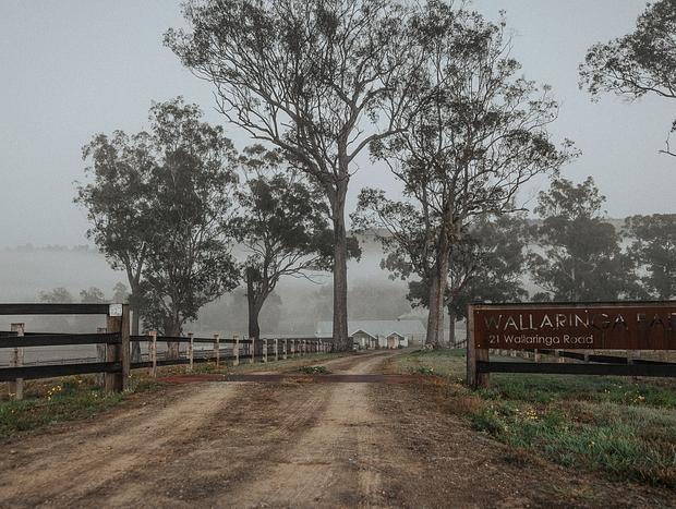 Photo 42 for Luxury Farm Stay at Wallaringa