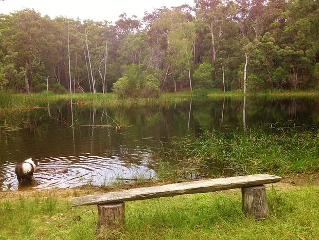 Photo 19 for Escape to Nature just minutes from Tathra.