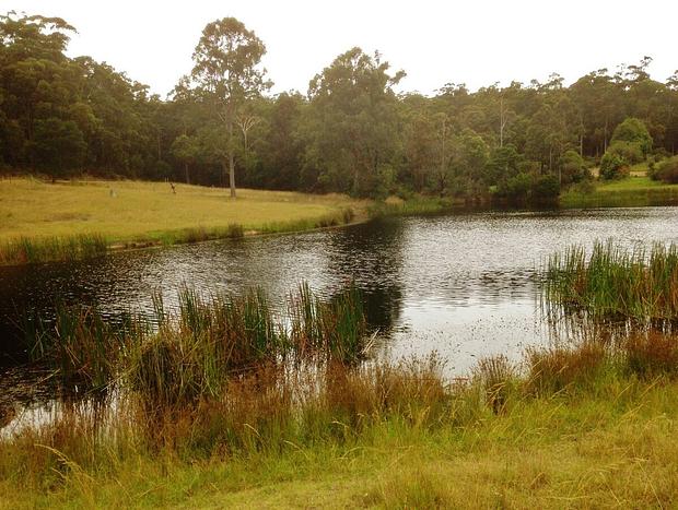 Photo 14 for Escape to Nature just minutes from Tathra.