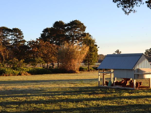 Photo 25 for Historic Shearers Quarters @ Mount William Station