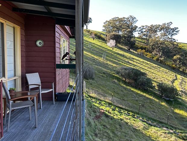 Photo 9 for Casita 4 at Blue Tongue Berries