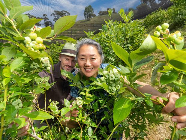 Photo 40 for Hacienda 1 at Blue Tongue Berries