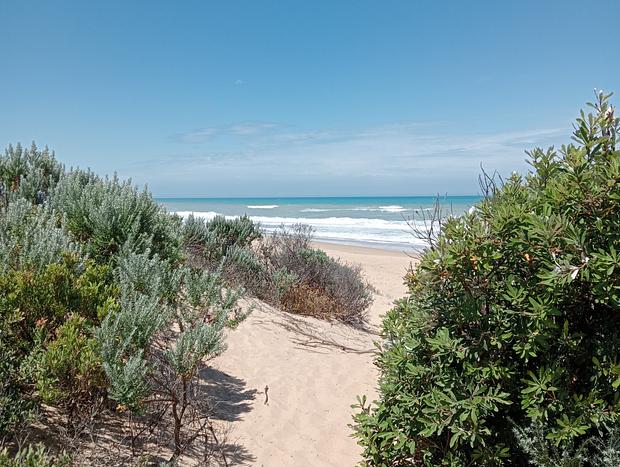 Photo 37 for Beachcomber Escape