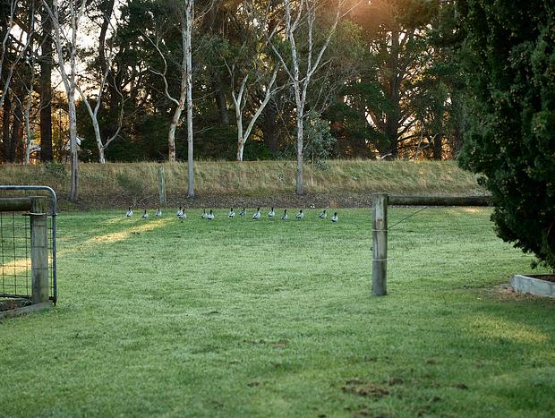 Photo 34 for Bells Beach Stables