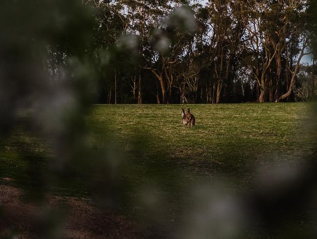 Photo 33 for Weekend at The Lakehouse Bundanoon