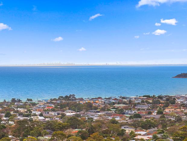 Photo 9 for Sea Dragon - Dromana