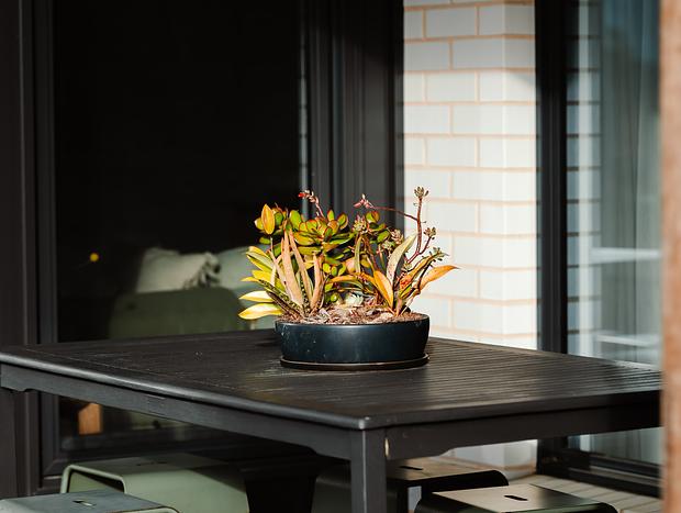 Photo 34 for Forrest Haus retreat - luxury in Otways hinterland