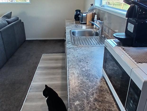 Photo 14 for Cute Modern Guest Cottage on Rural Setting