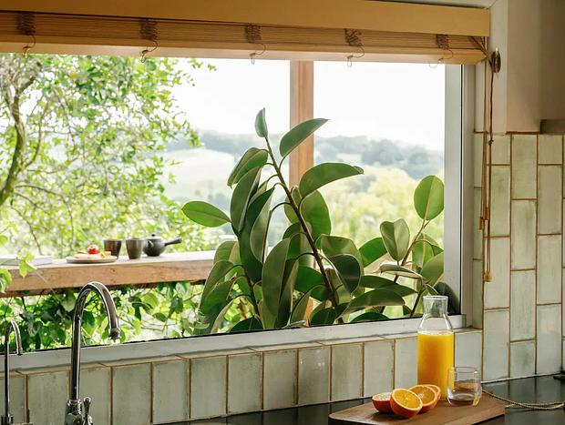 Photo 7 for The Honey Barn - Wabi-Sabi Cottage Byron Hinterland