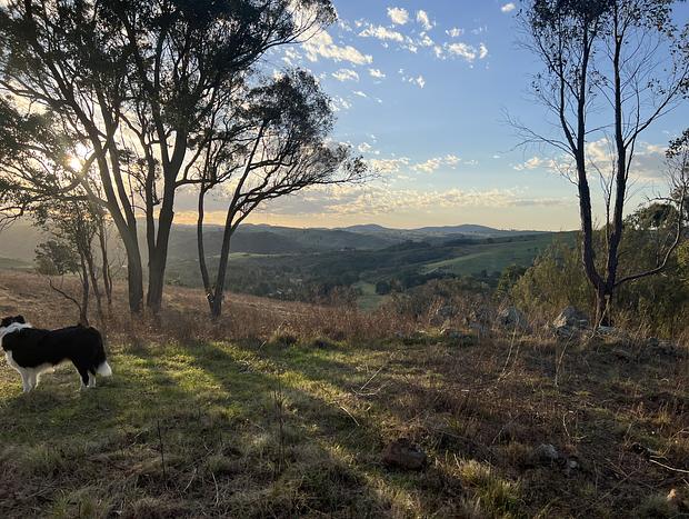 Photo 4 for Burrendah Farm Vintage Caravan Retreat