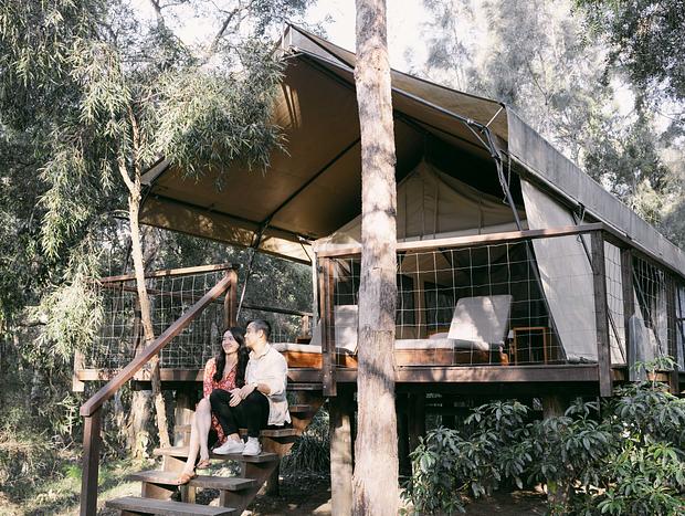Photo 24 for Blissful Luxury Glamping at Paperbark Camp in Jervis Bay