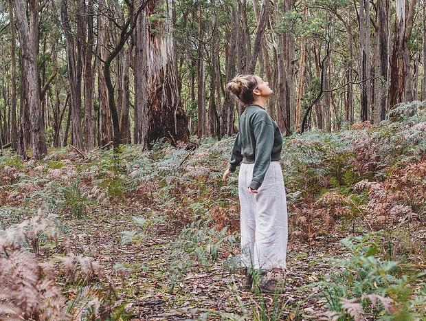 Photo 15 for Wallaby Retreat - Tiny House in the Forest near Daylesford