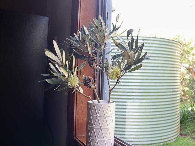 Photo 11 for Citta Cottage - a coastal oasis