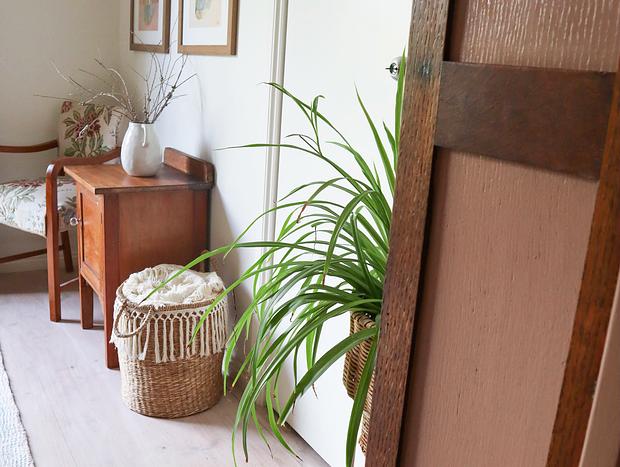 Photo 29 for Citta Cottage - a coastal oasis