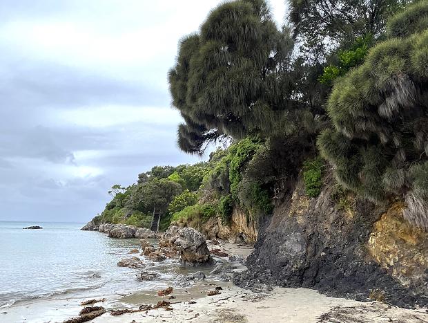 Photo 48 for Citta Cottage - a coastal oasis