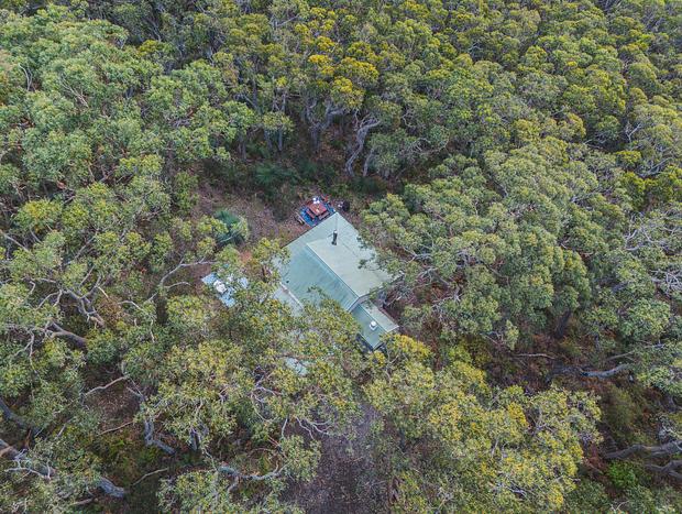 Photo 21 for Submerged in the Otways